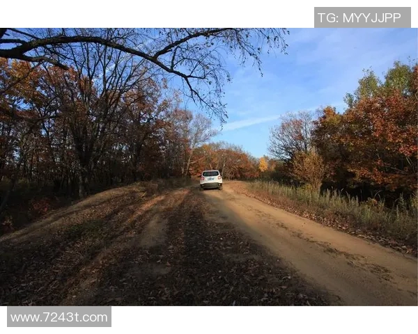 晚秋的3D艺术之旅与谜题解锁的奇妙体验 晚秋的3D艺术之旅与谜题解锁的奇妙体验