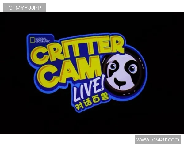 罗腾的奇幻冒险之旅探索未知世界的勇气与智慧